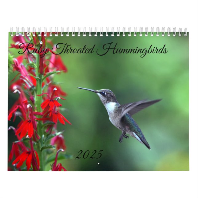 Ruby Throated Hummingbird 2025 Calendar (Cover)