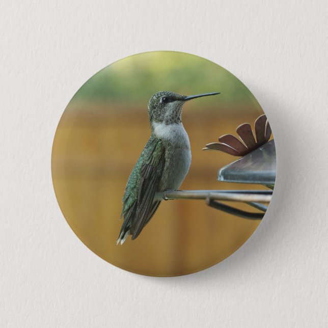 Ruby Throated Hummingbird 2 Inch Round Button (Front)