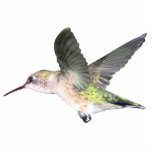 Ruby-throated Hummingbird 2x3 Ornament Photo Sculpture Ornament<br><div class="desc">A beautiful ruby-throated hummingbird ornament to adorn your christmas tree,  your rearview mirror or even your neck.  Tons of possibilities to show your hummingbird pride.</div>