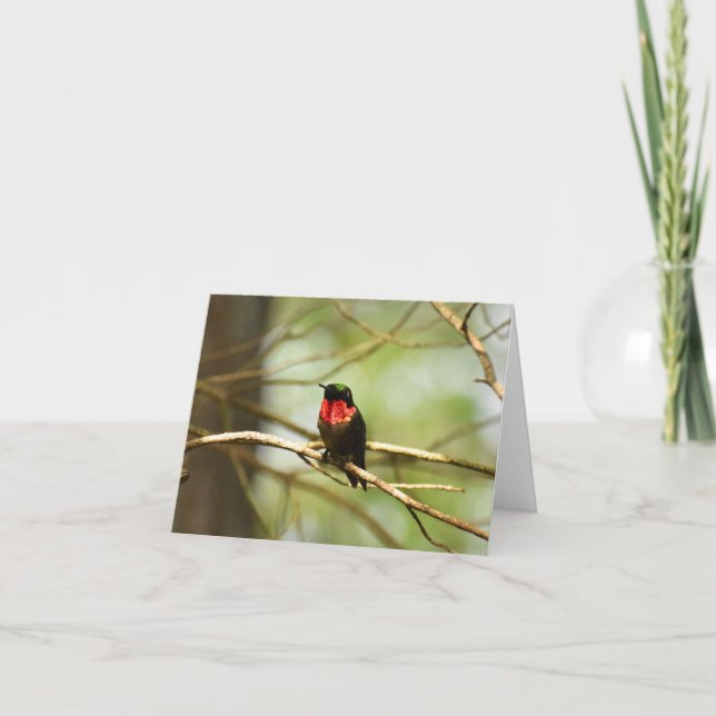 Ruby-throated Hummingbird #4 - Blank Note Card (Front)