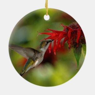 Ruby-Throated Hummingbird Archilochus Colubris Ceramic Ornament