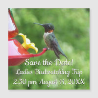 Ruby-Throated Hummingbird Bird Photography