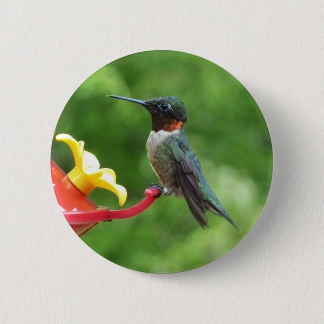 Ruby-Throated Hummingbird Bird Photography 2 Inch Round Button (Front)