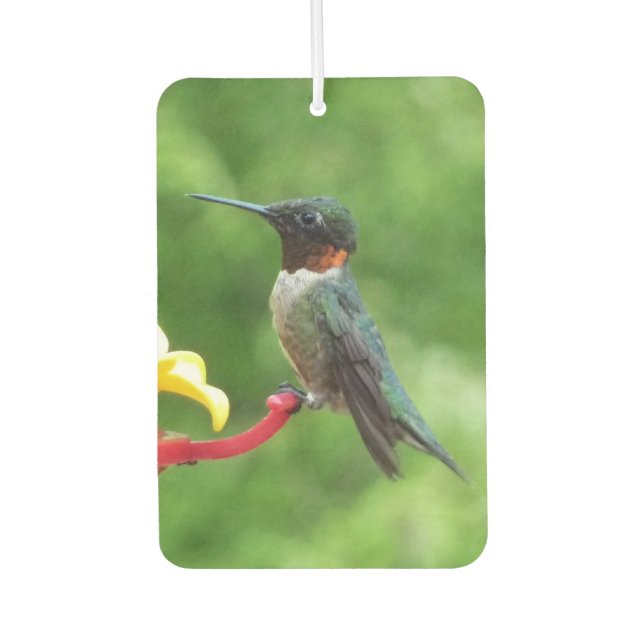 Ruby-Throated Hummingbird Bird Photography Air Freshener (Front)