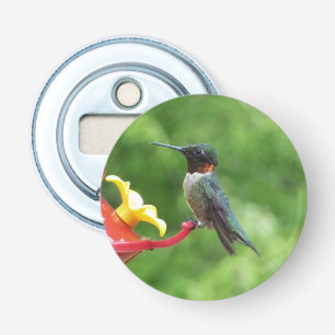 Ruby-Throated Hummingbird Bird Photography Bottle Opener