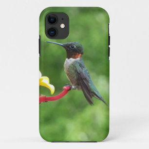 Ruby-Throated Hummingbird Bird Photography iPhone 11 Case