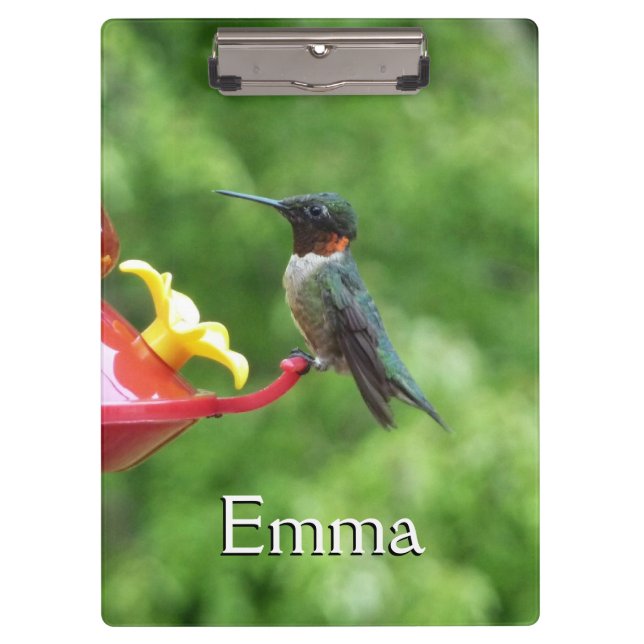 Ruby-Throated Hummingbird Bird Photography Clipboard (Front)