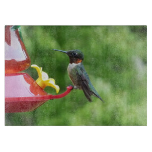 Ruby-Throated Hummingbird Bird Photography Cutting Board