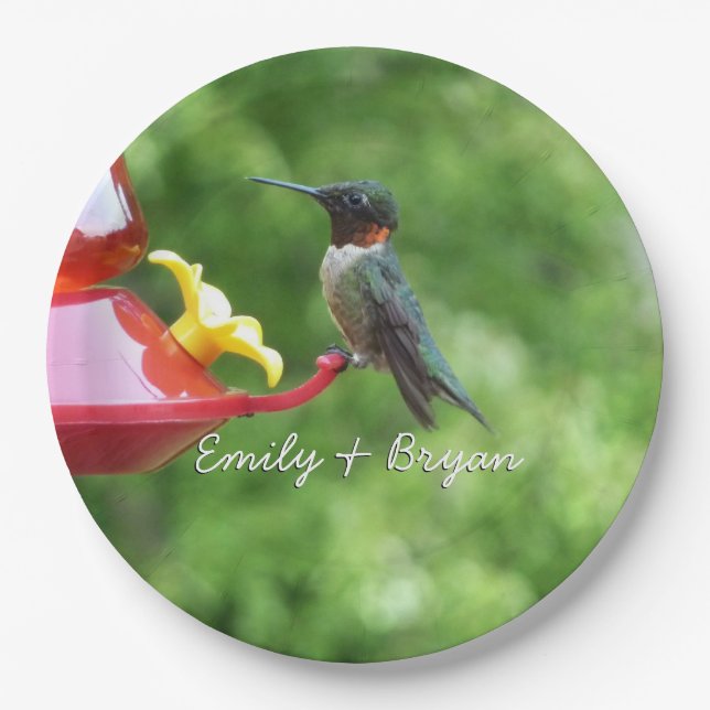 Ruby-Throated Hummingbird Bird Photography Paper Plate (Front)
