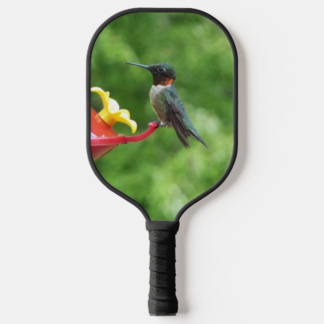 Ruby-Throated Hummingbird Bird Photography Pickleball Paddle (Front)