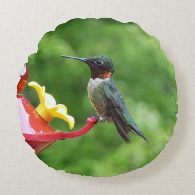 Ruby-Throated Hummingbird Bird Photography Round Pillow (Front)