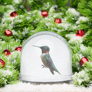 Ruby-Throated Hummingbird Bird Photography Snowglobe