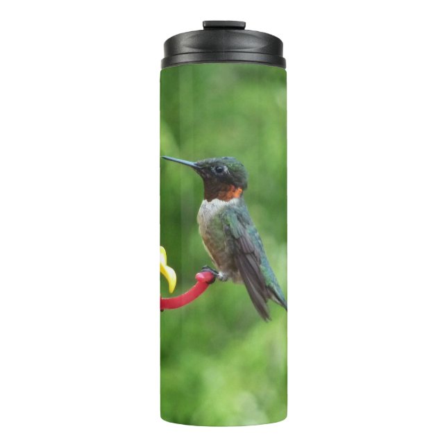 Ruby-Throated Hummingbird Bird Photography Thermal Tumbler (Front)