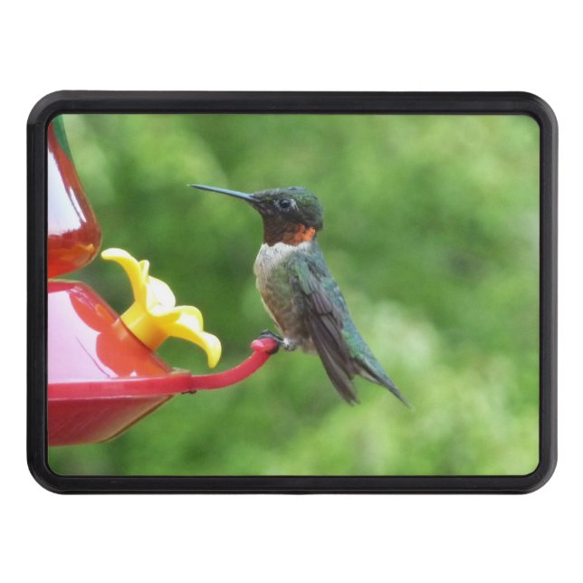 Ruby-Throated Hummingbird Bird Photography Trailer Hitch Cover (Front)