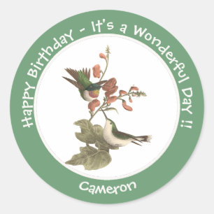 Ruby-throated Hummingbird, Birthday or Other Party Classic Round Sticker