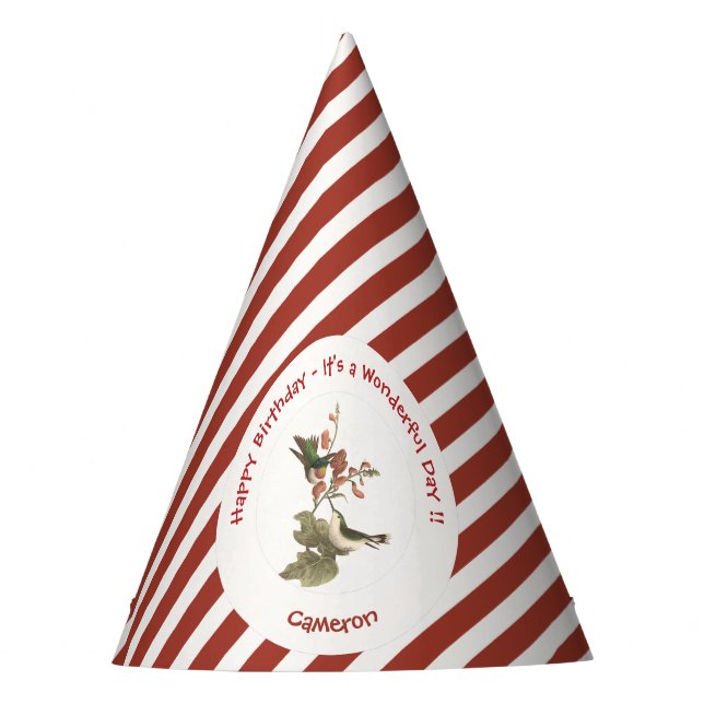 Ruby-throated Hummingbird, Birthday or Other Party Hat (Front)
