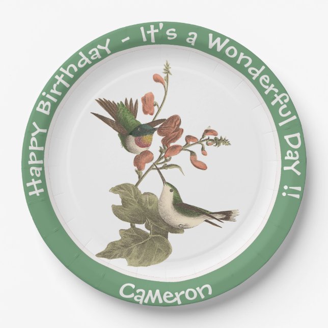 Ruby-throated Hummingbird, Birthday or Other Party Paper Plate (Front)