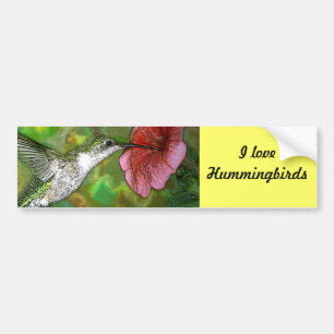 Ruby throated Hummingbird Bumper Sticker