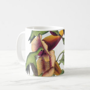 Ruby-throated Hummingbird by Audubon Coffee Mug