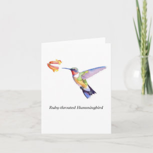 Ruby-throated Hummingbird Card