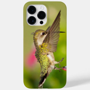 Ruby-Throated Hummingbird  Case-Mate iPhone 14 Pro Max Case