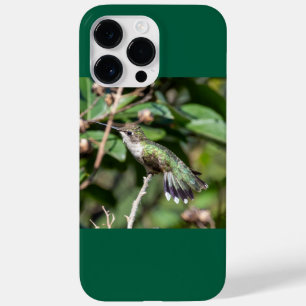 Ruby-Throated Hummingbird  Case-Mate iPhone 14 Pro Max Case