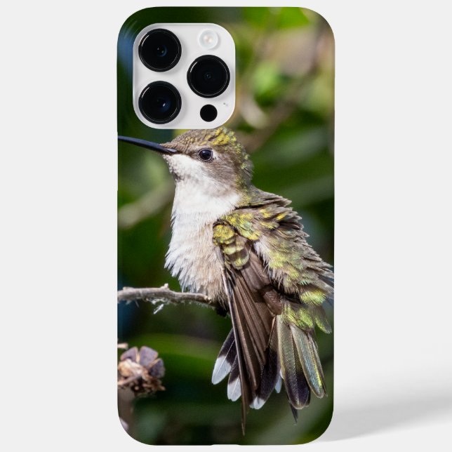 Ruby-Throated Hummingbird  Case-Mate iPhone Case (Back)
