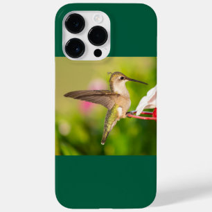 Ruby-Throated Hummingbird Case-Mate iPhone 14 Pro Max Case