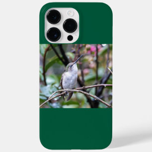 Ruby-Throated Hummingbird  Case-Mate iPhone 14 Pro Max Case