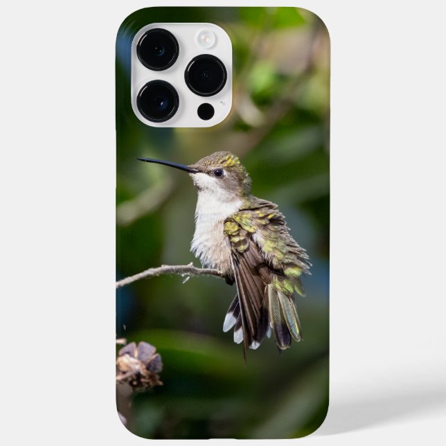 Ruby-Throated Hummingbird  Case-Mate iPhone Case (Back)