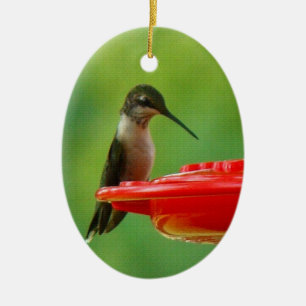 Ruby-Throated Hummingbird Ceramic Ornament