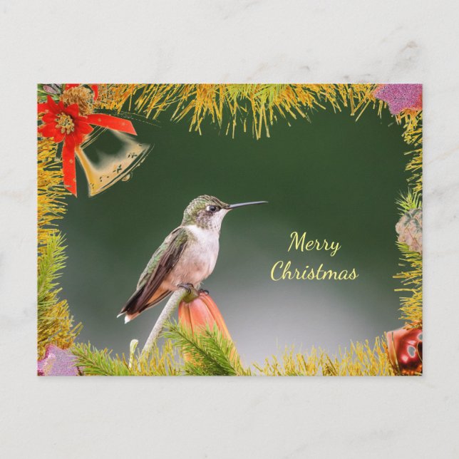Ruby-throated hummingbird Christmas Card (Front)