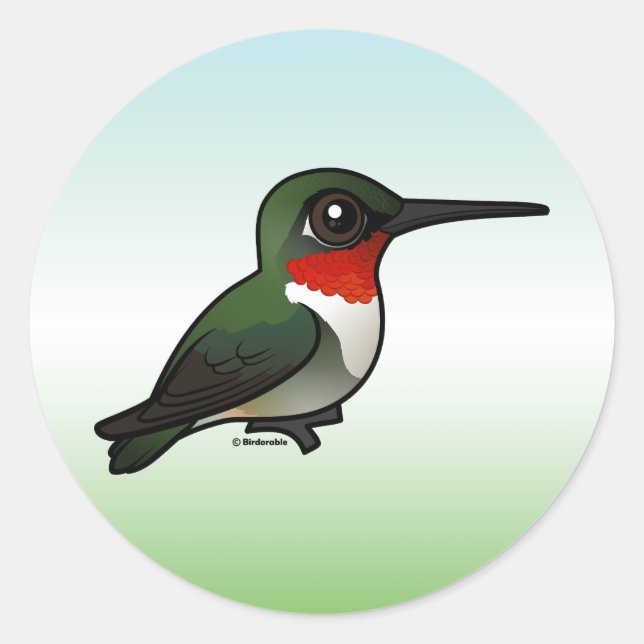 Ruby-throated Hummingbird Classic Round Sticker (Front)