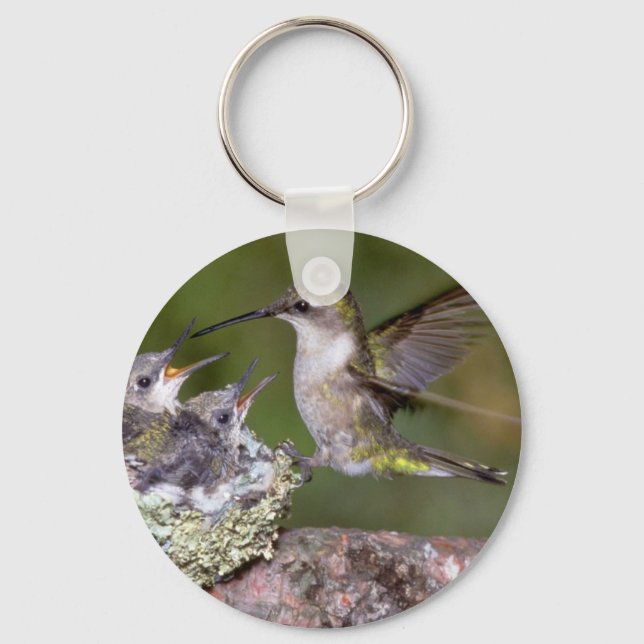 Ruby-throated Hummingbird (female) with young Keychain (Front)