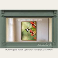 Ruby-Throated Hummingbird Fine Art Photography 