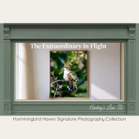 Ruby-Throated Hummingbird Fine Art Photography 