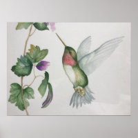 Ruby-throated Hummingbird Garden Watercolor