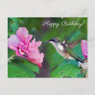 Ruby Throated Hummingbird Happy Birthday Postcard