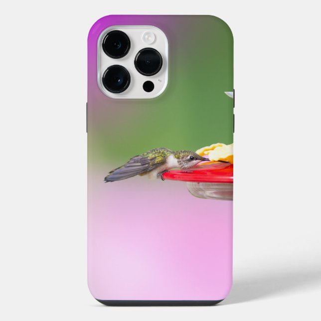 Ruby-Throated Hummingbird  iPhone Case (Back)