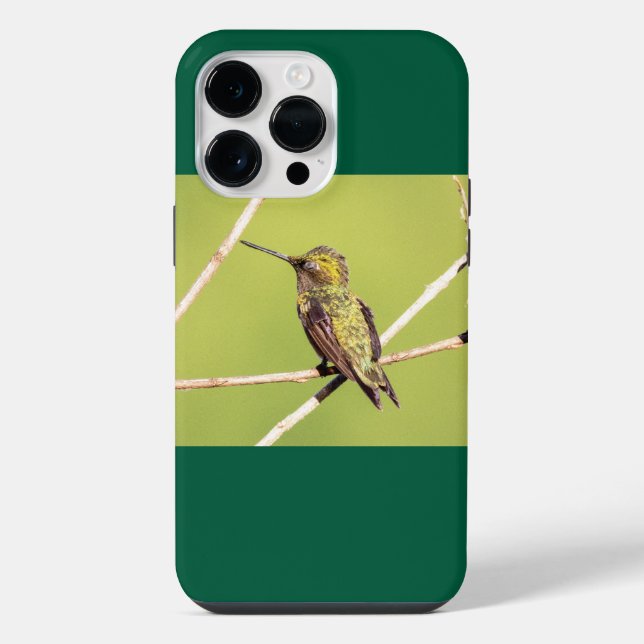 Ruby-Throated Hummingbird  iPhone Case (Back)