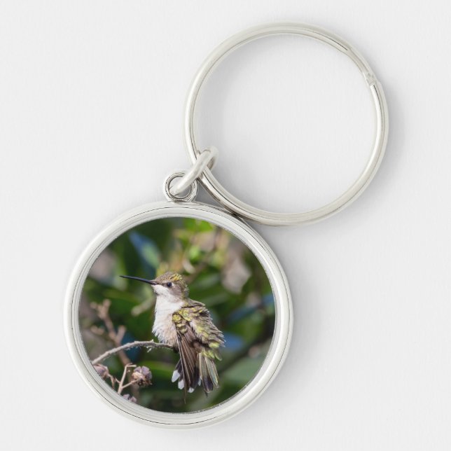 Ruby-Throated Hummingbird Key Chain #4Q7A5304 (Front)