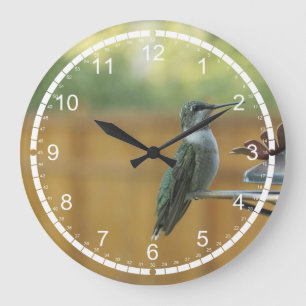 Ruby Throated Hummingbird Large Clock