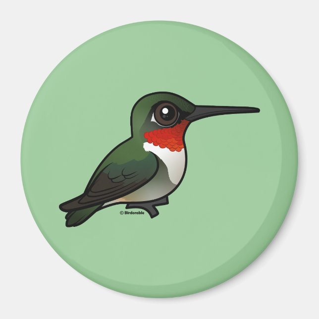 Ruby-throated Hummingbird Magnet (Front)
