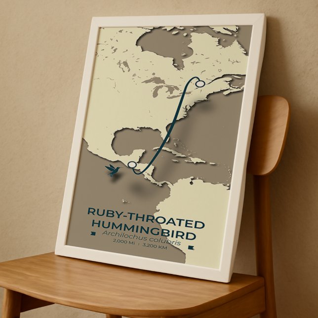 Ruby-throated Hummingbird Migration Map – Minimali Poster (Creator Uploaded)