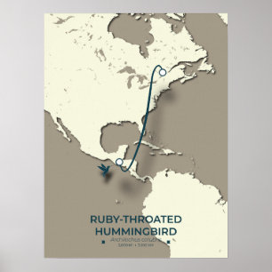 Ruby-throated Hummingbird Migration Map  Poster