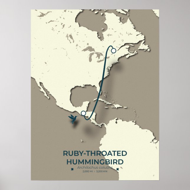 Ruby-throated Hummingbird Migration Map  Poster (Front)