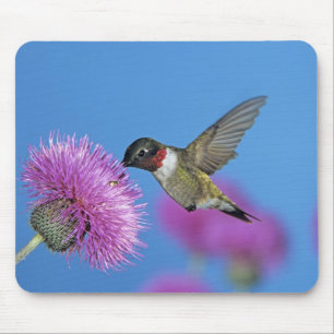 Ruby-throated Hummingbird Mouse Pad