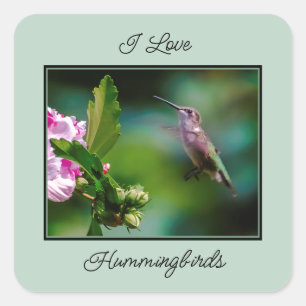 Ruby-throated Hummingbird - Original Photograph Square Sticker