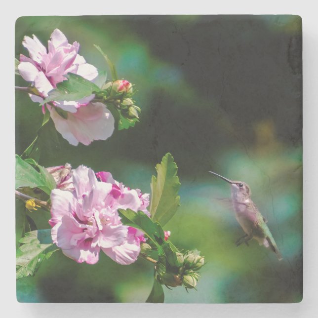 Ruby-throated Hummingbird - Original Photograph Stone Coaster (Front)