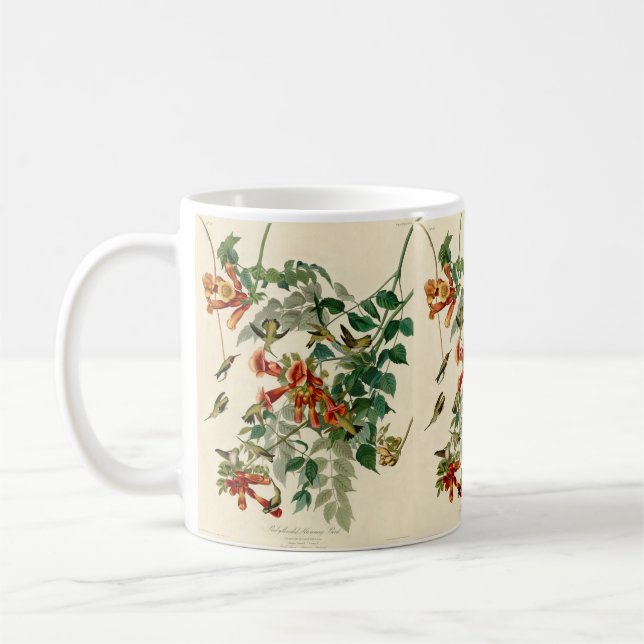 Ruby Throated Hummingbird Painting by Audubon Coffee Mug (Left)